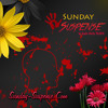 Sunday Suspense Aaina By Sishir Kumar Majumder Mp3