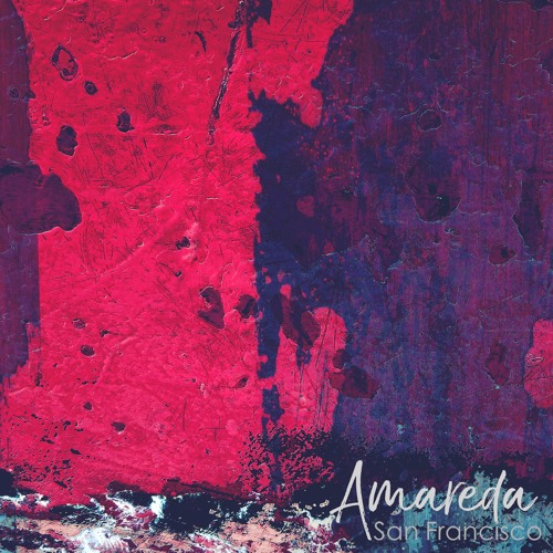 AMAREDA - Asterales