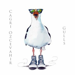 Cagri Ozcevahir - Gulls(Radio Edit)