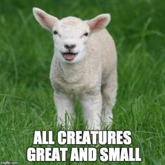 EPISODE 3 - ALL CREATURES GREAT AND SMALL