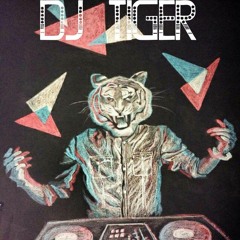 Electro House 2k17 (DJ Tiger mini mix)
