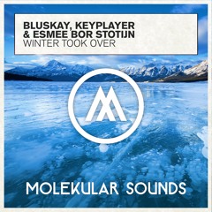 Bluskay, Keyplayer & Esmee Bor Stotijn - Winter Took Over (Original Mix)