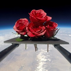 Blake Rose - Nine to Five