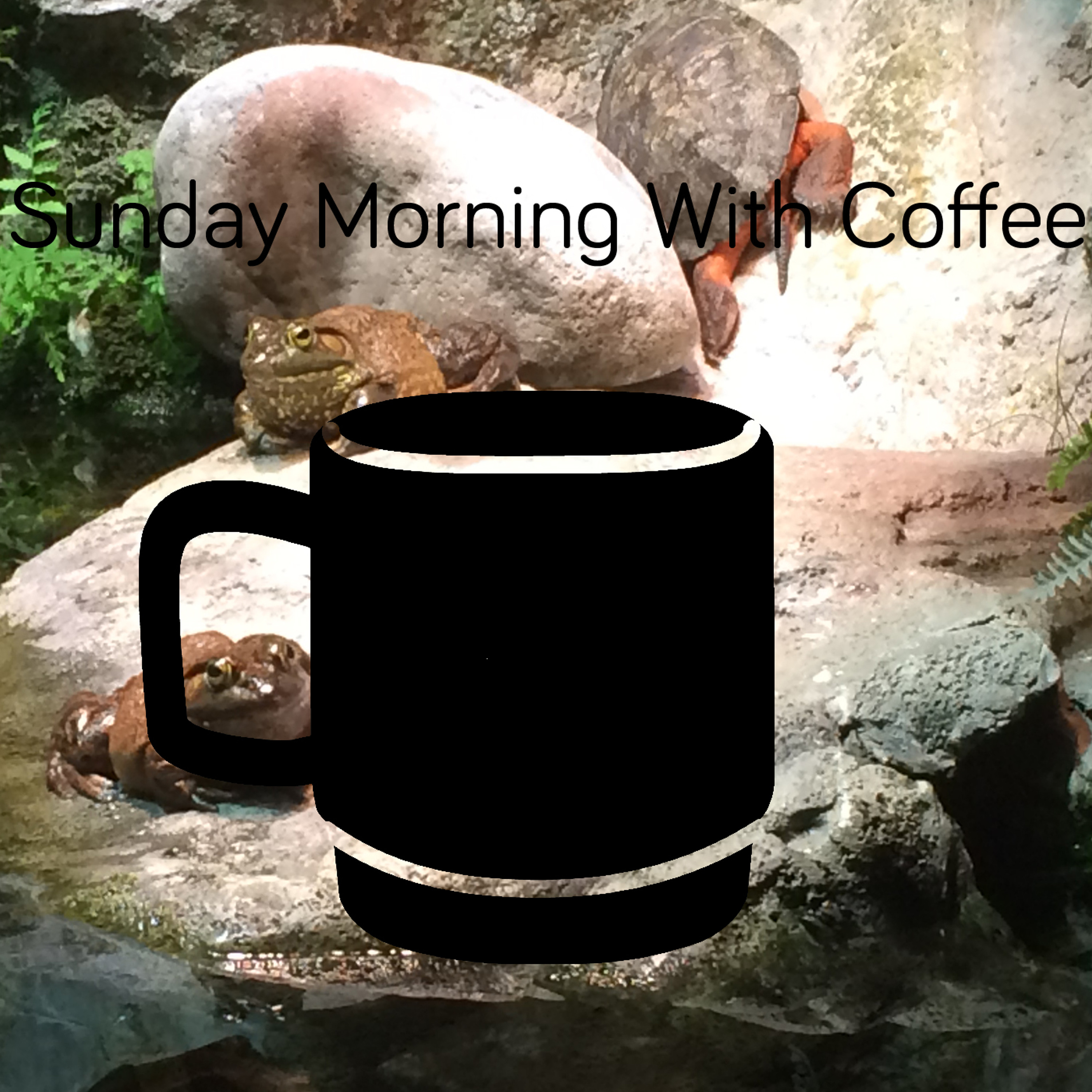 Sunday Morning With Coffee: DJ Brian Damage SMWC2016_08 episode artwork