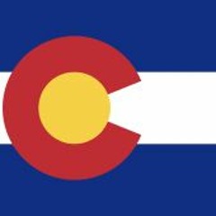 Councilwoman Susman Interview