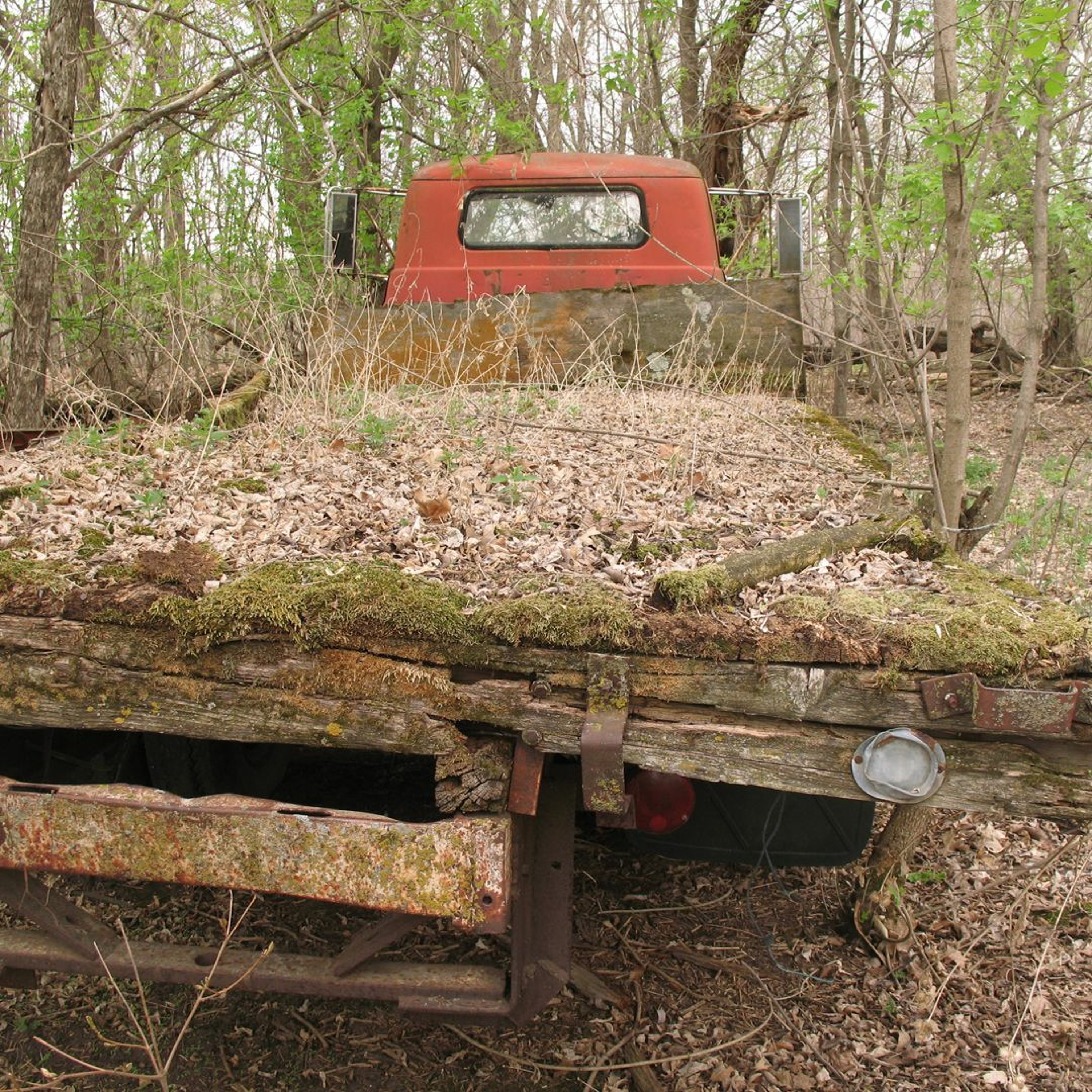 Seed Story Broadcasts