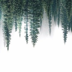 River and Roads - The Head and the Heart (Raven Cover)