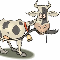 Doença Da Vaca Louca No Brasil - Áudio 3