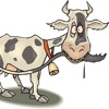 Doença Da Vaca Louca No Brasil - Áudio 2