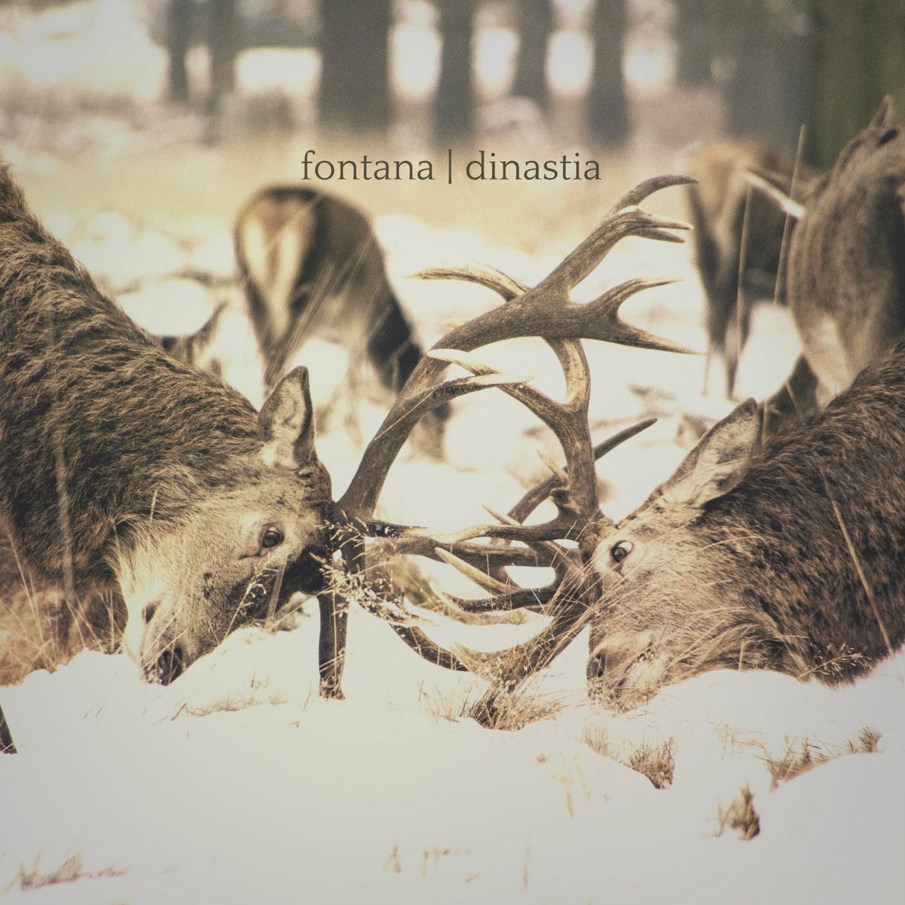 Dinastia episode artwork