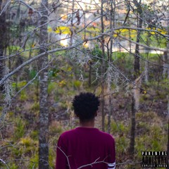 Soul Searching [Prod. By Timothy Nasir]