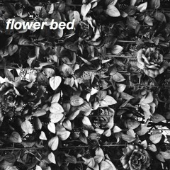 Jake Thomas - Flower Bed
