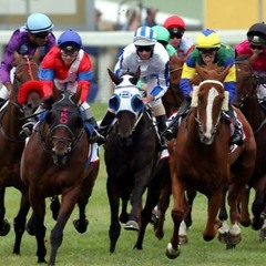 Adelaide Cup Edition ft. Luke Marzano