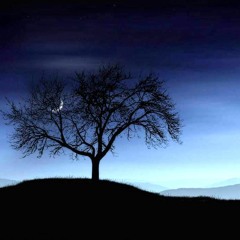 Contemplation
