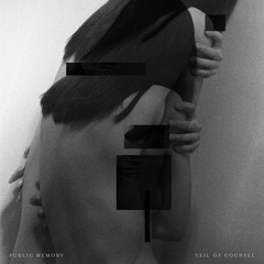 Public Memory - Verdict