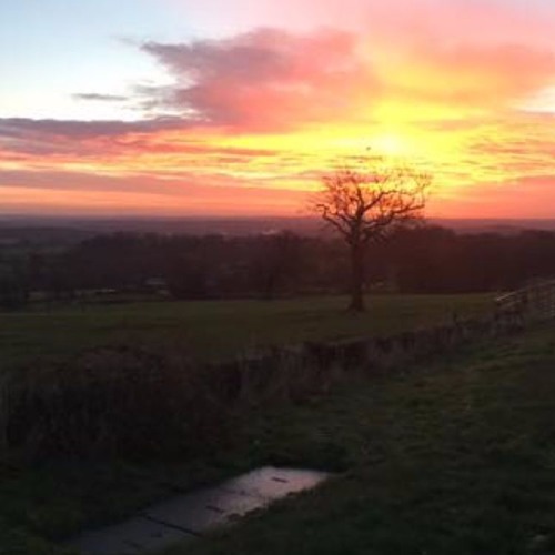 Stream Smoke Rings Mix 26 Dub Techno Deep Techno By Poisonoise