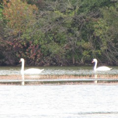 rainy day sunday 5-31-15