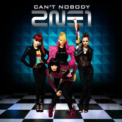 2NE1 - Can't Nobody (Jamosoma Mashup)