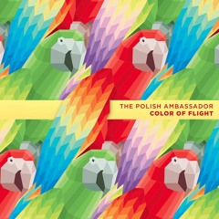 The Polish Ambassador - La Que Quiero Ft. Ryan Herr & Chico Mann