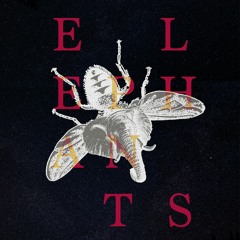 o.ccult - Elephants