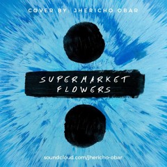 Supermarket Flowers by Ed Sheeran (Cover)