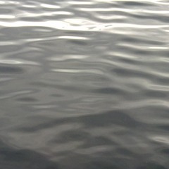 ripples // lakesounds