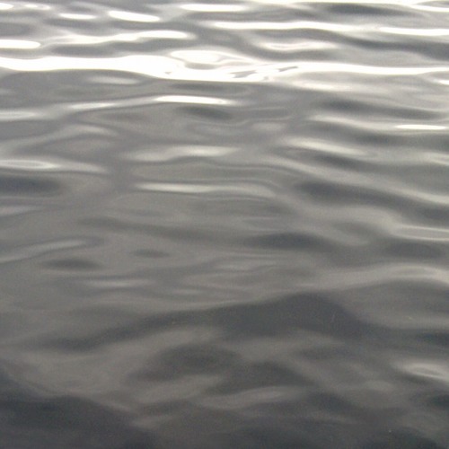ripples // lakesounds