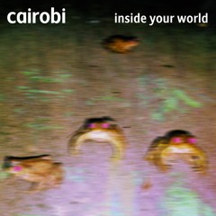 Inside Your World