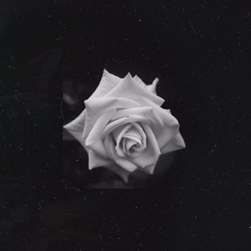 Inte Hela Världen (prod. Jeff Roman)