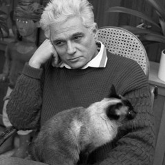 #LitCrank Three - Cats Are Resentful Creatures