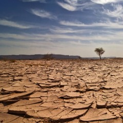 Set_Tres Poemes De Desig