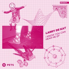 Larry De Kat - She Doesn't