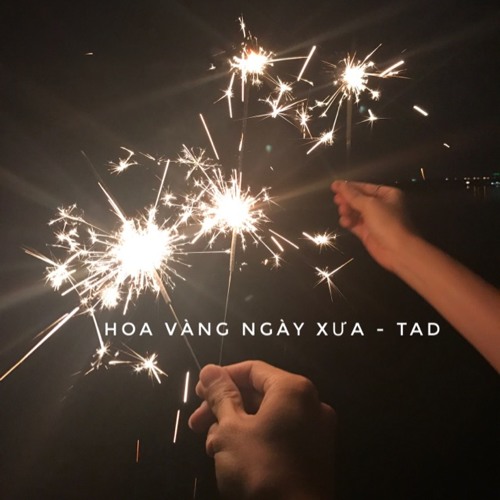 Hoa vàng ngày xưa ( Trần Lê ) - Tad