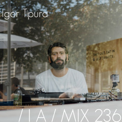 IA MIX 236 Igor Tipura