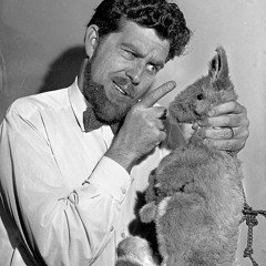 ROFL HARRIS & JIM'LL MIX IT - KANGAROO HOSTAGE