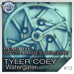 Watergater (Disaster & Mikele Remix) Tyler Coey - Taurine Records