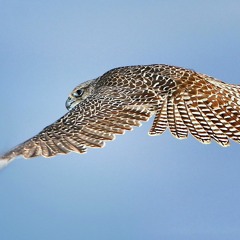 Salas Vacias - Spanish Rap by Oratorius