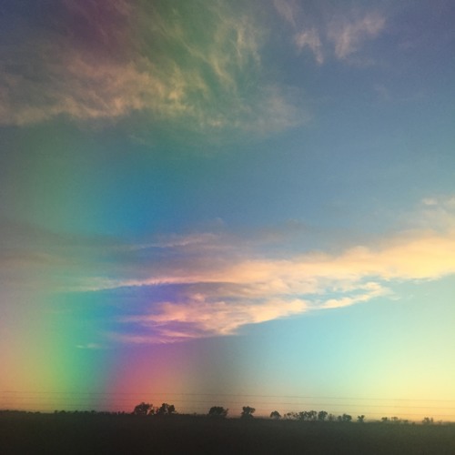 When She Roll It W/ MioWnize