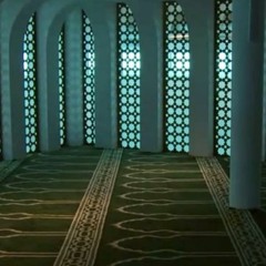 omarۺfatmaۺp.rabarbar ۺKABULۺ