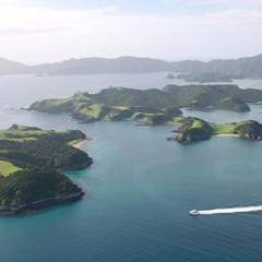 Mookie Trillest - Island