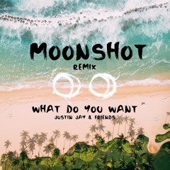 Justin Jay & Friends - What Do You Want (Moonshot Remix)