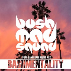 Bush Mad Squad - Bashmentality