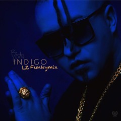 Rasta - Indigo  (DJ LZ Miami Funkymix)