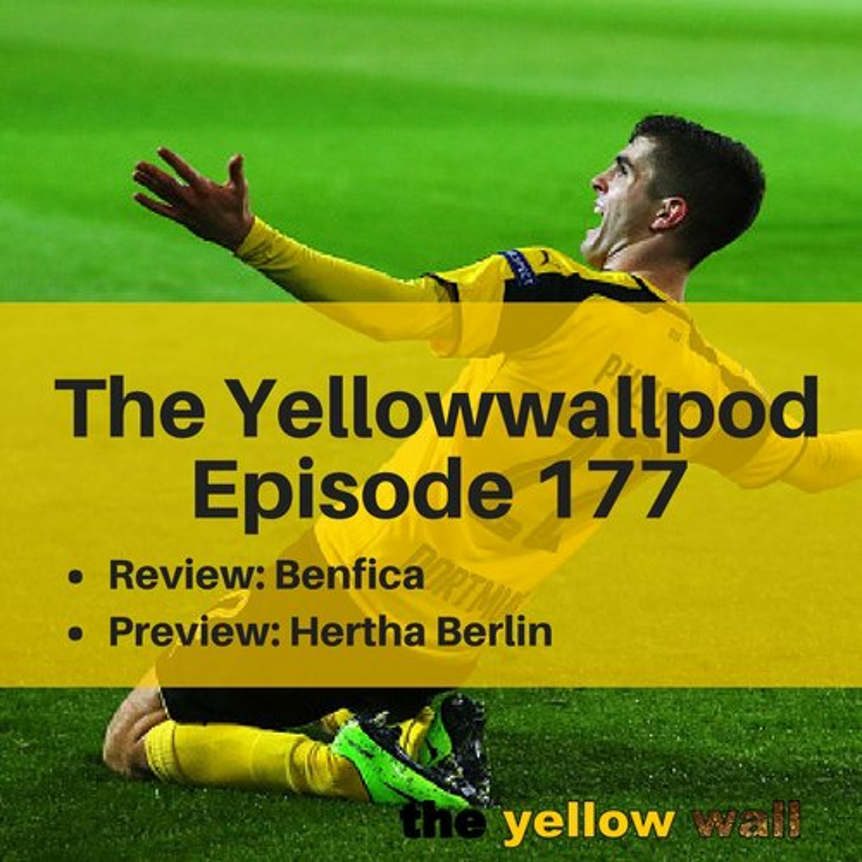 Yellowwallpod