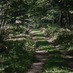 DEAR MOM(Love Yourz Remix)