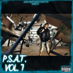 Test Luv - P.S.A.T (Alley Crap Gang) (RFam)