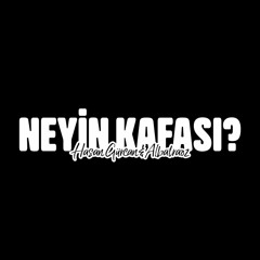 Hasan Gürcan & Albatraoz - Neyin Kafası?