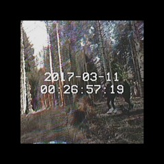 feeniks - set me free