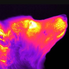 Route 94 - My Love (Gustolabs Breaks Edit)