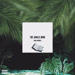 TOOK A FLIGHT Ft RueManeli (prod.Dollie)